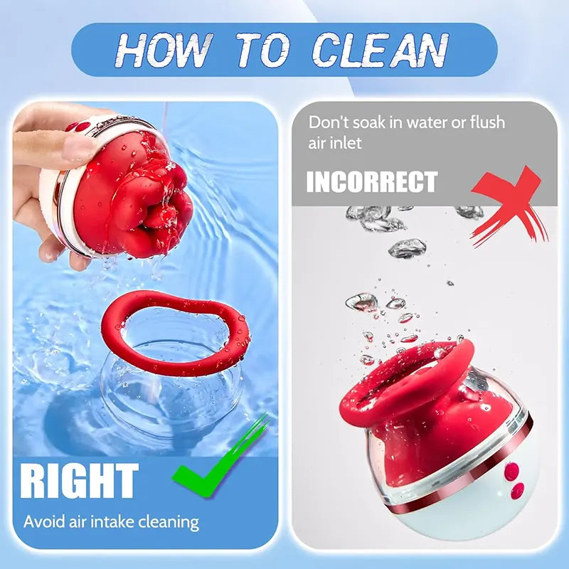 3 in 1 Rose Clitoral Sucking Vibrator